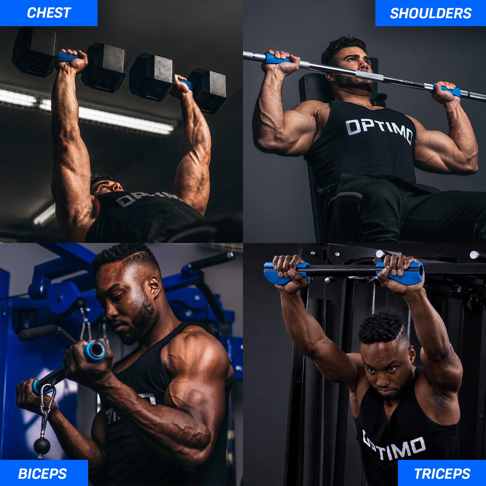 A four-panel fitness guide showing a blue Optimo One ergonomic thick grips used with different arm and chest exercises: chest press with dumbbells, overhead barbell shoulder press, bicep curl with a cable, and tricep pull-down. Each panel features a muscular man in a gym setting wearing a black tank top with 'OPTIMO' printed on it, with blue labels at the top and bottom of each quadrant.